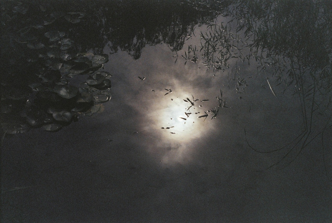 운 雲 좋은 날